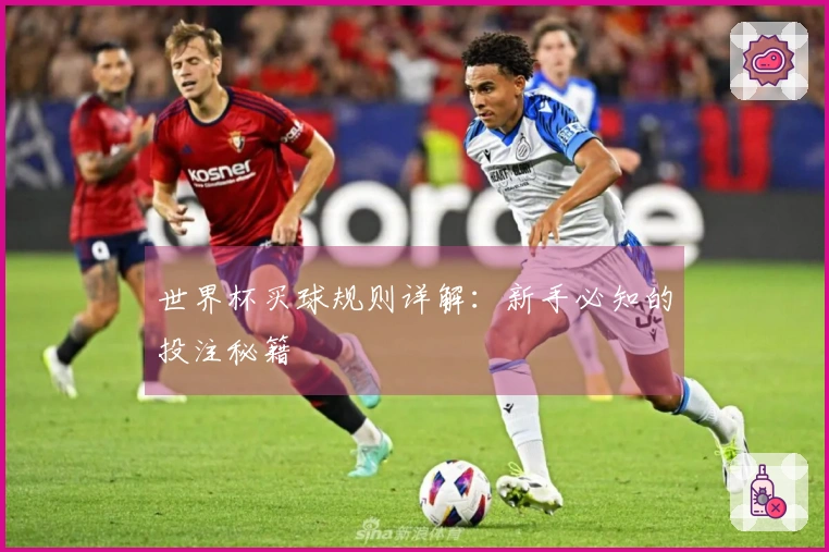 世界杯买球规则详解：新手必知的投注秘籍