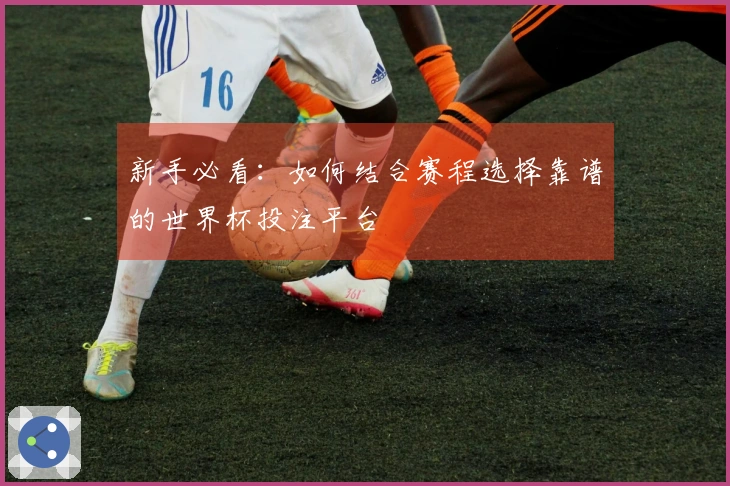 新手必看：如何结合赛程选择靠谱的世界杯投注平台